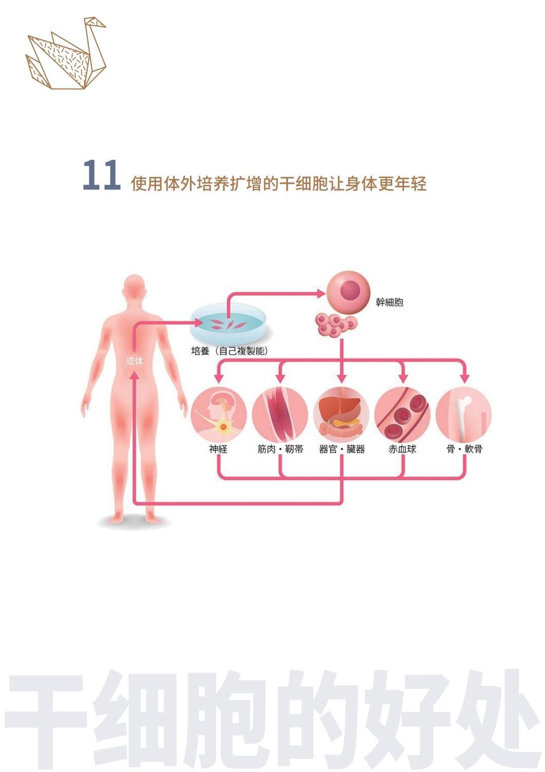 干细胞治疗画册_14.jpg